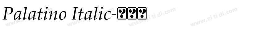 Palatino Italic字体转换